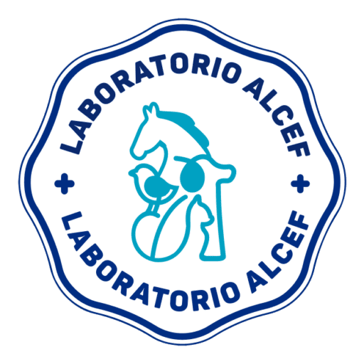 Laboratorio ALCEF, C.A.